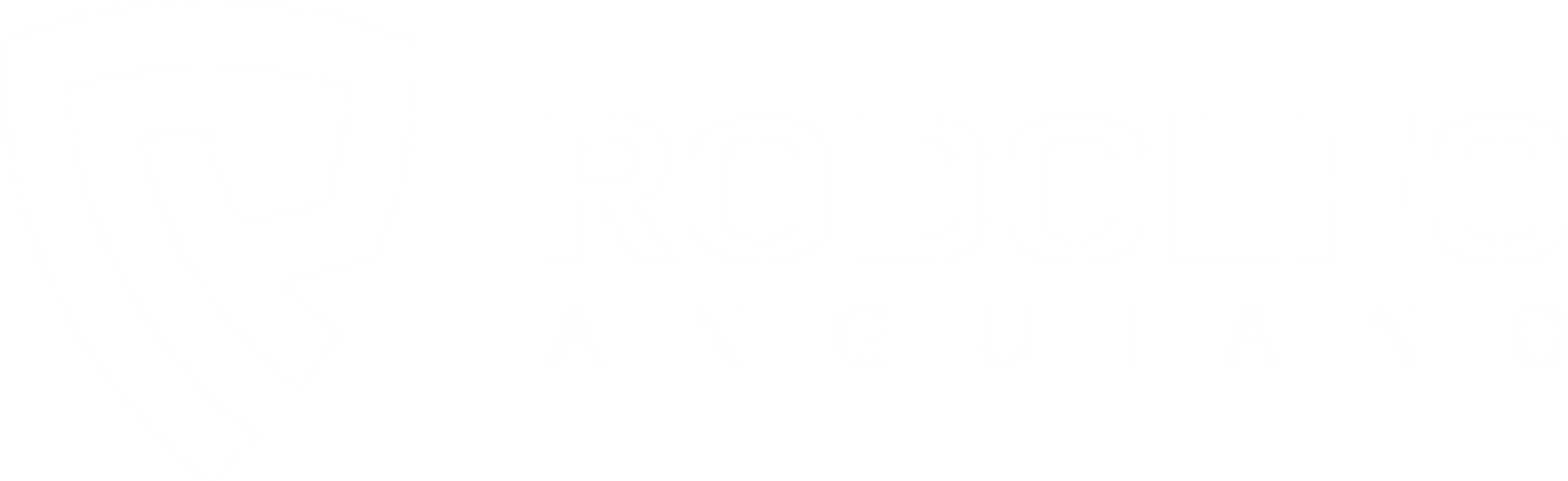 rodolfo anguiano broker